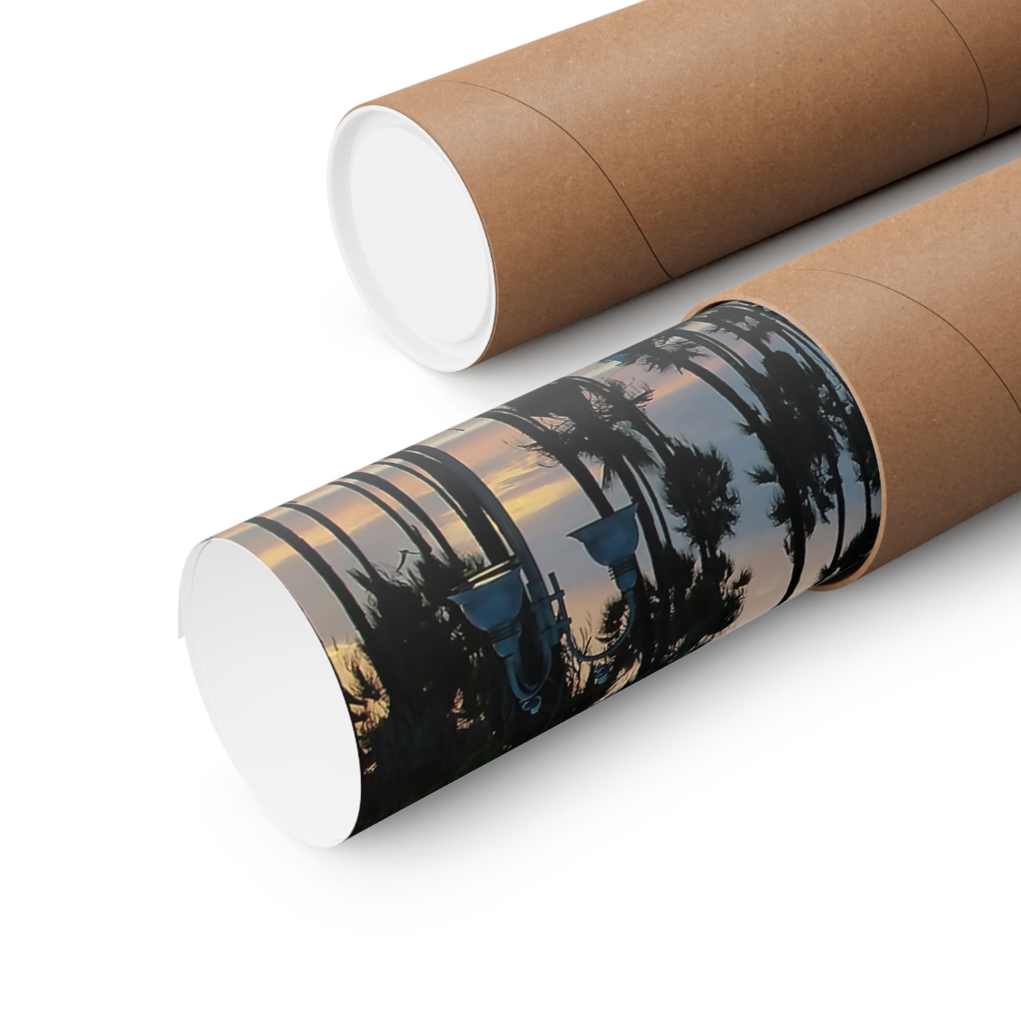 Venice Beach Captured by Live Camera | Matte Horizontal Posters